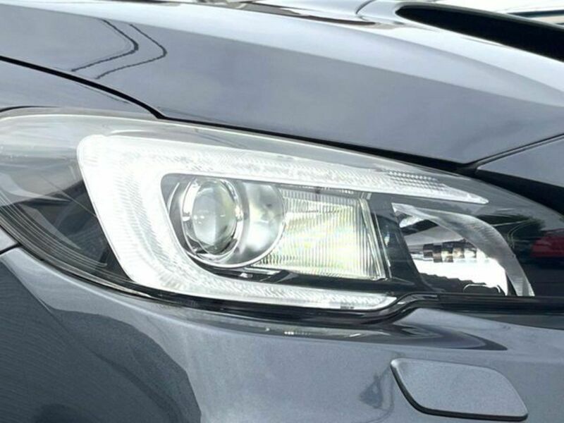 LEVORG-11