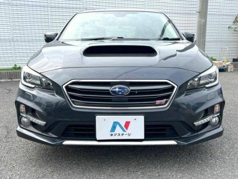 LEVORG-13