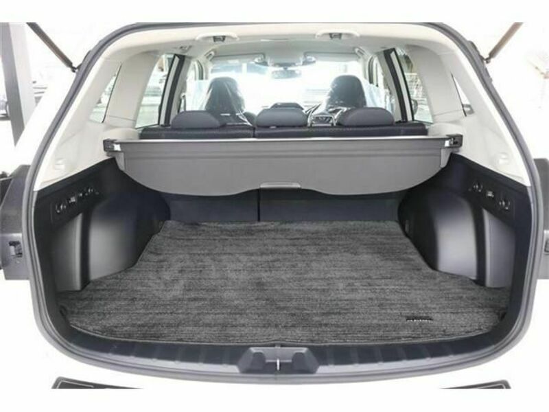 FORESTER-12