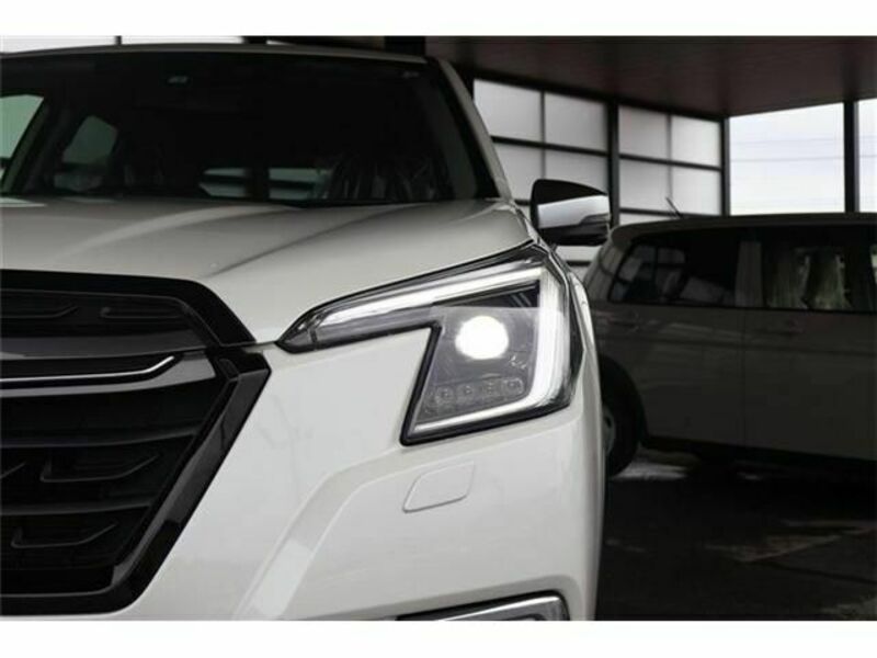 FORESTER-13