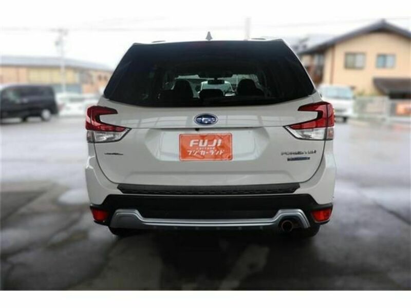 FORESTER-17