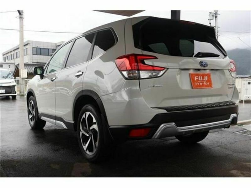 FORESTER-19