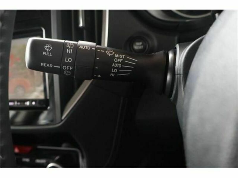 FORESTER-24