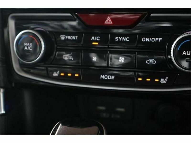 FORESTER-29