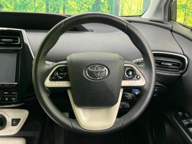 PRIUS-10