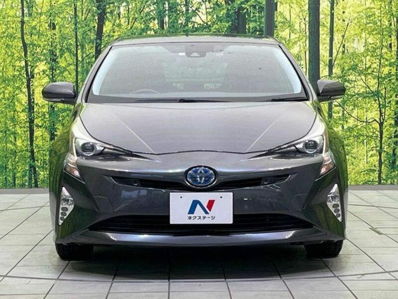 PRIUS-13