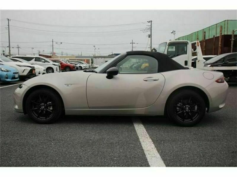 ROADSTER