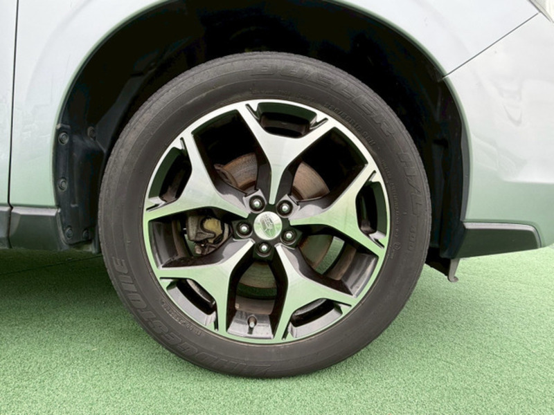 FORESTER-4