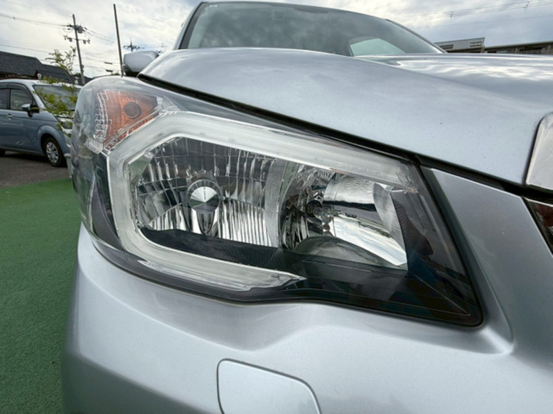 FORESTER-8