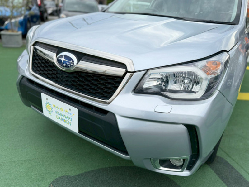 FORESTER-9