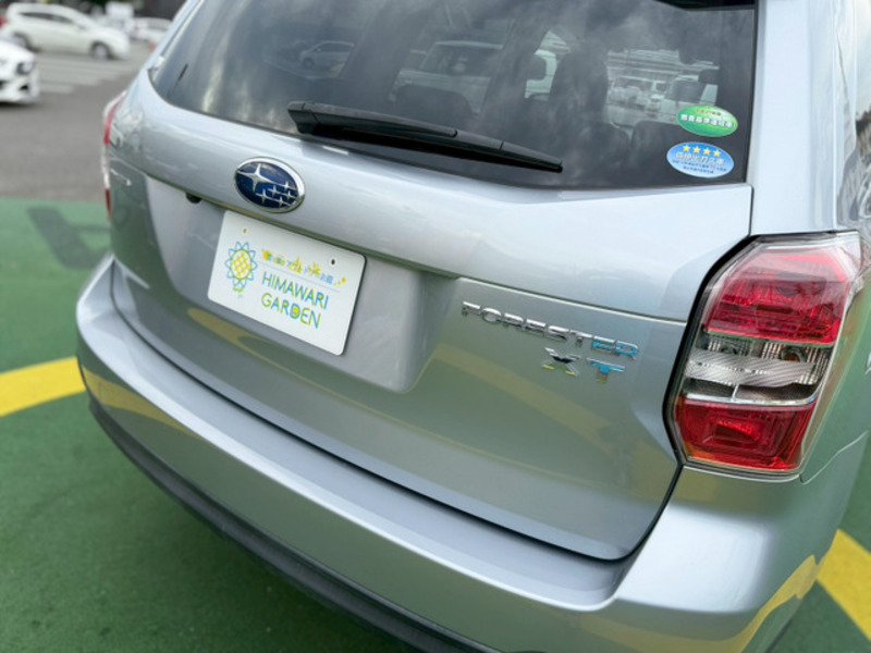 FORESTER-19