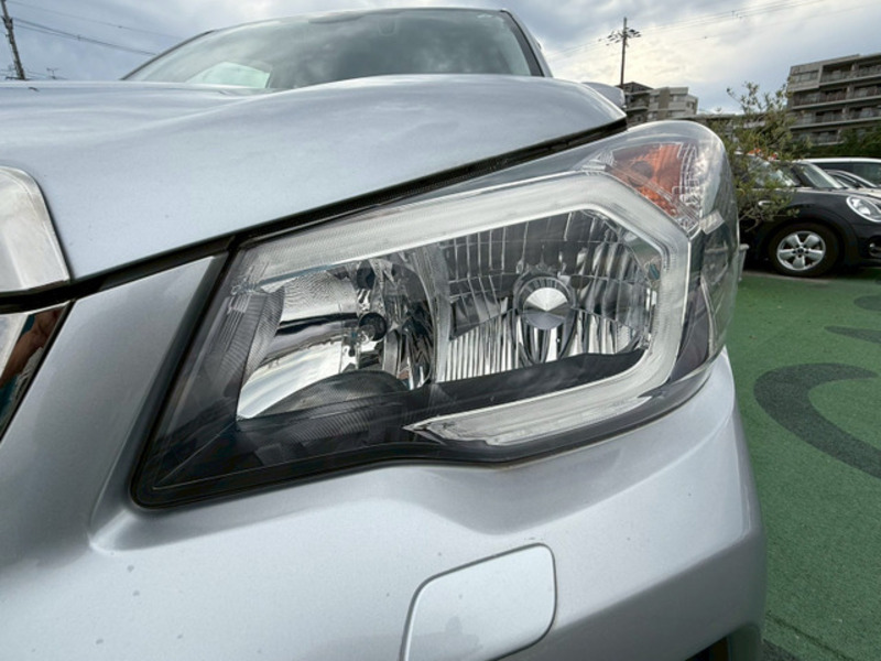FORESTER-7