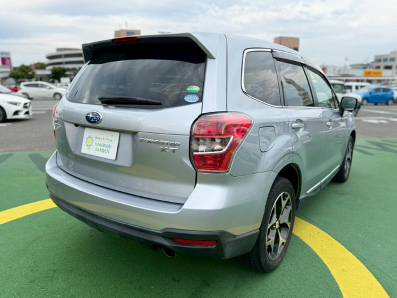 FORESTER-1