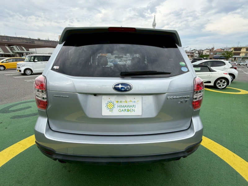 FORESTER-17