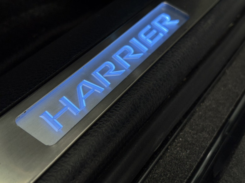 HARRIER