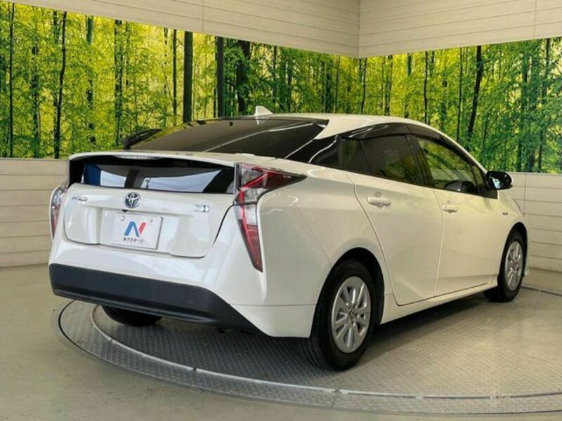 PRIUS-17