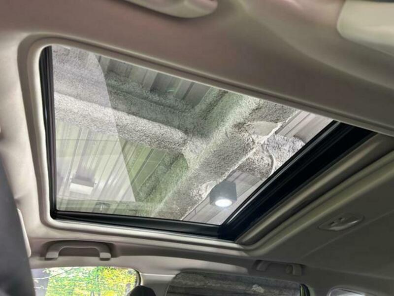 FORESTER-2