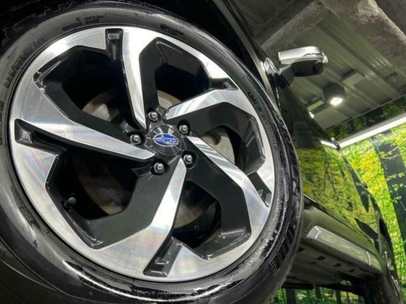 FORESTER-13