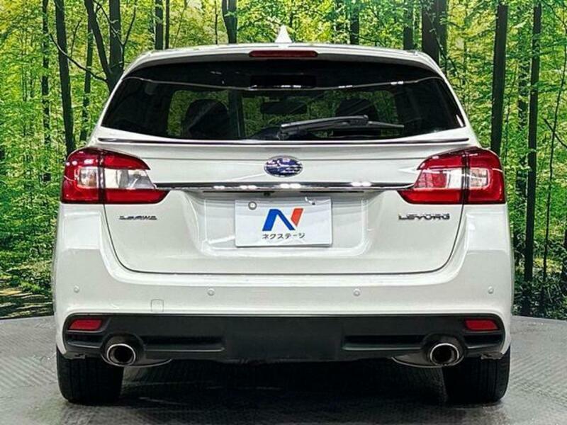 LEVORG-13