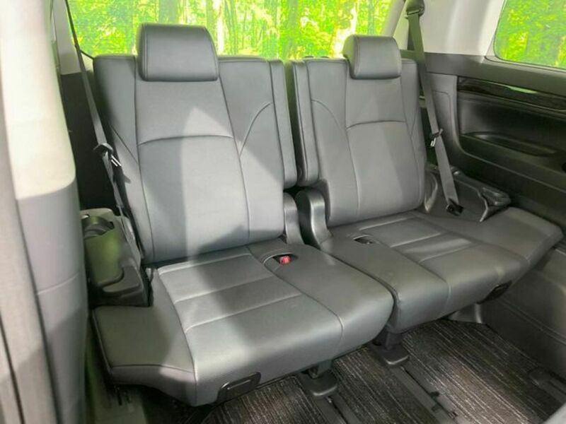 ALPHARD-10
