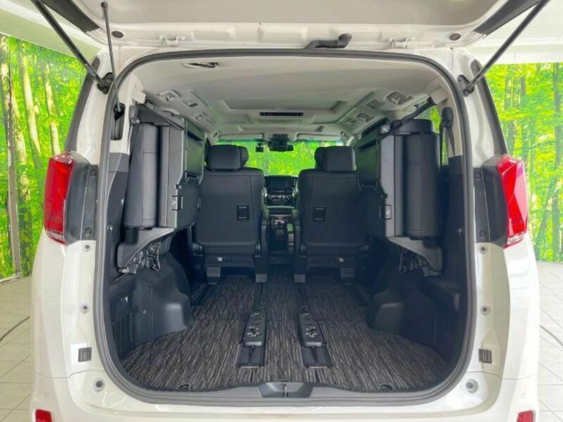 ALPHARD-11