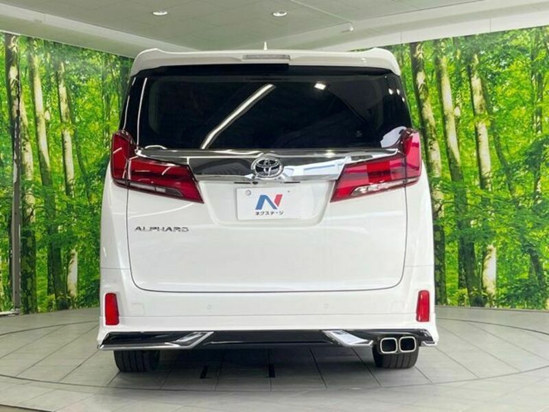 ALPHARD-16
