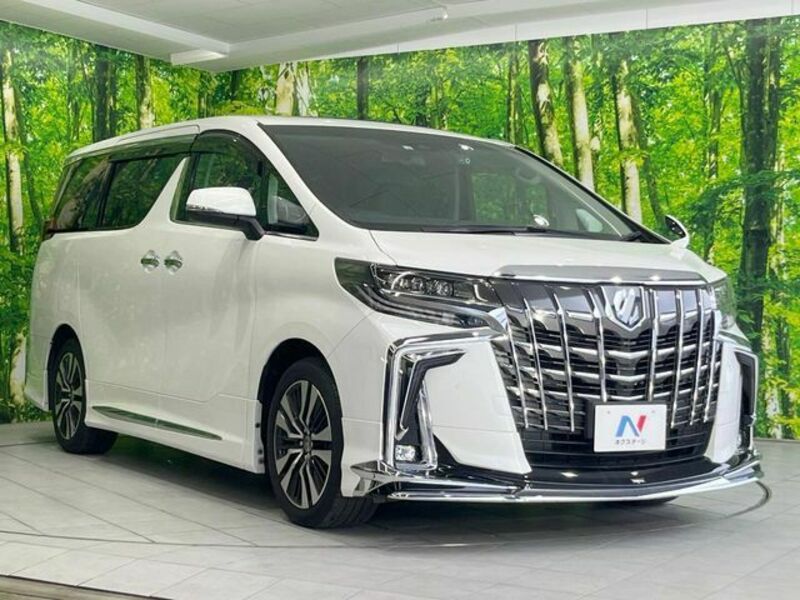 ALPHARD-17