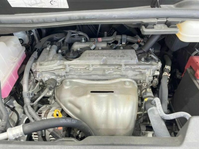 ALPHARD-19