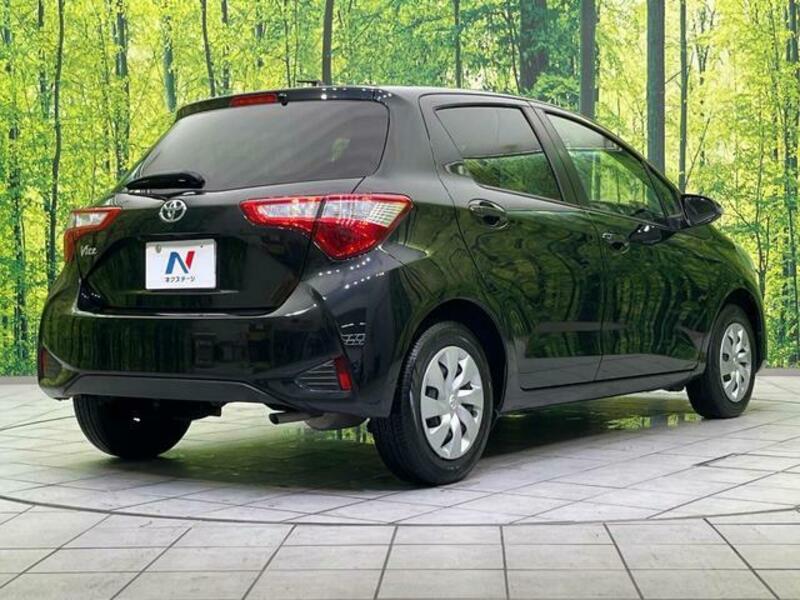 VITZ-17