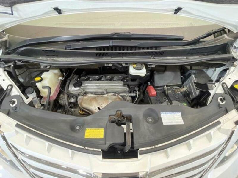 ALPHARD-18