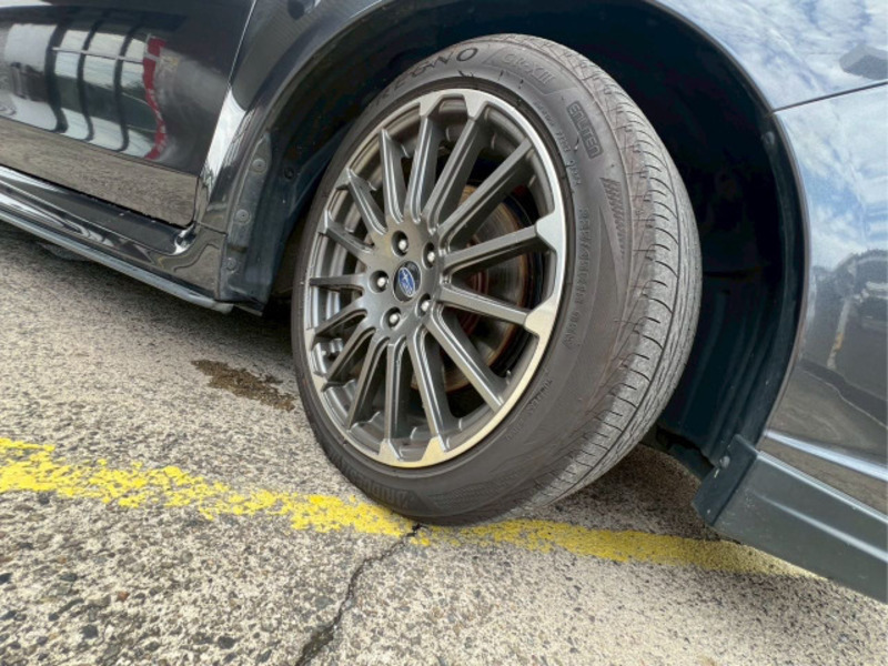 LEVORG-19