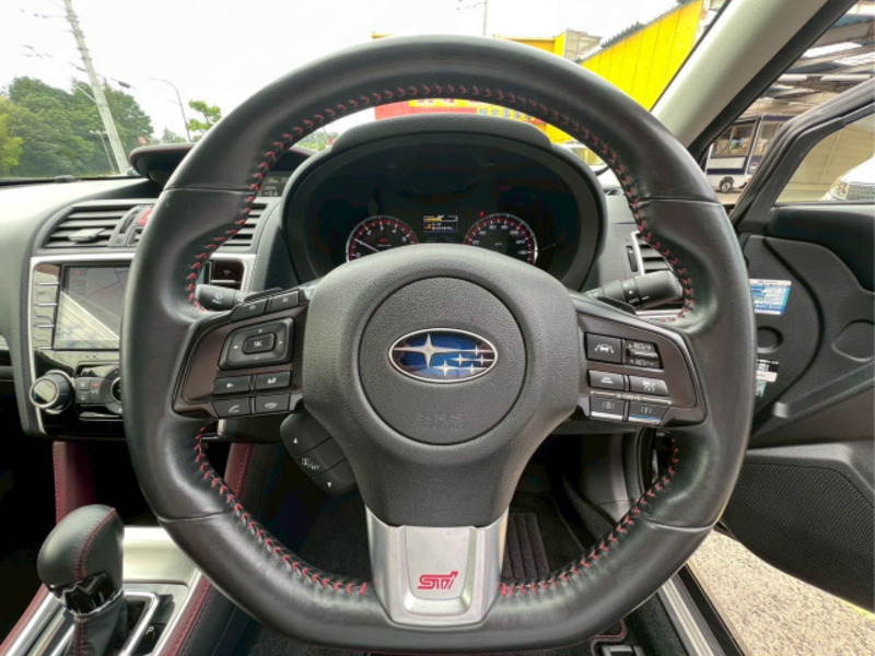 LEVORG-10