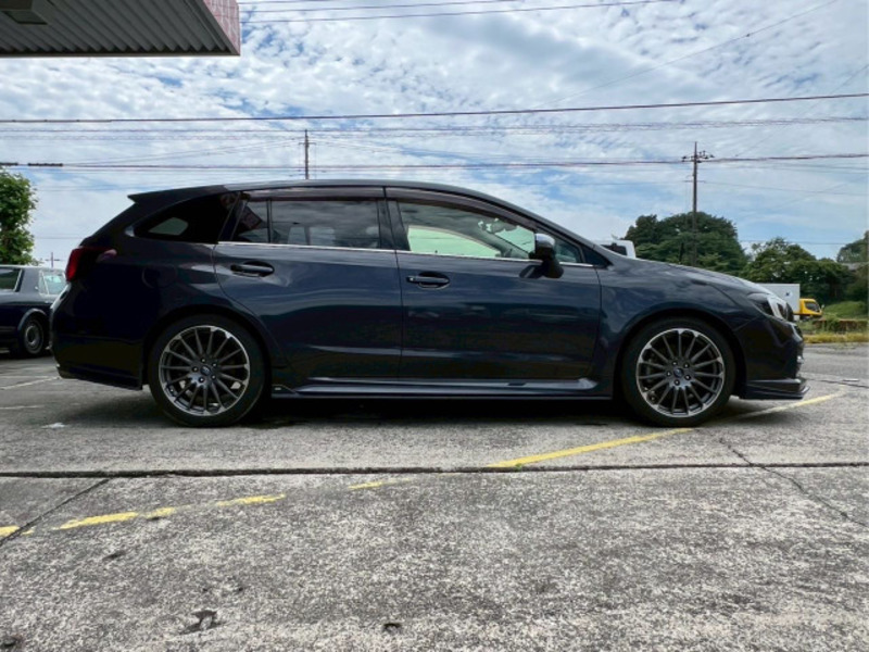 LEVORG-1