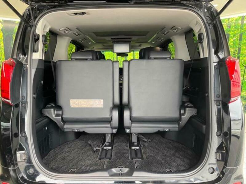 ALPHARD-10