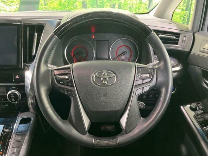 ALPHARD-11