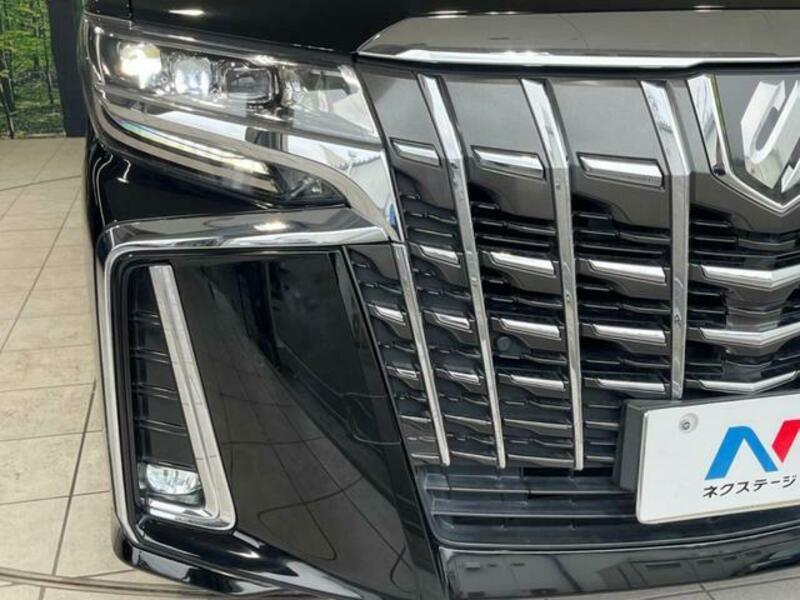 ALPHARD-12