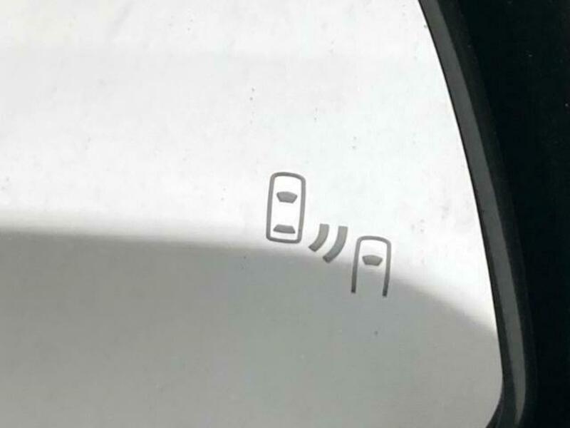 ALPHARD-6
