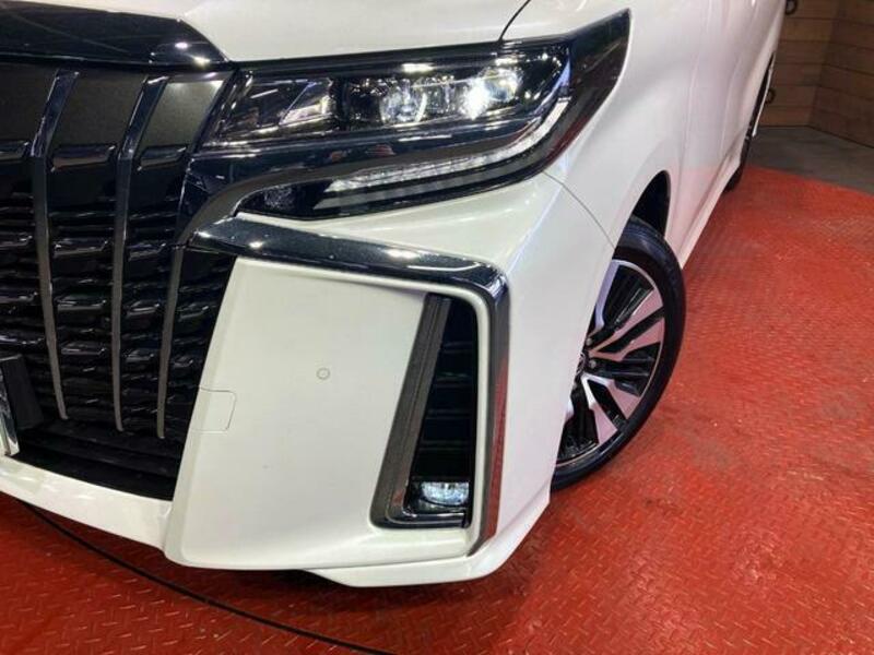 ALPHARD-12
