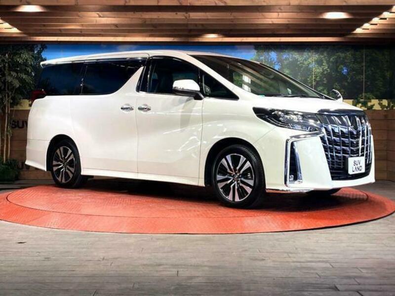 ALPHARD-16