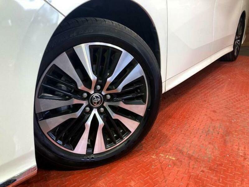 ALPHARD-13