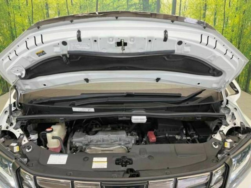 ALPHARD-18