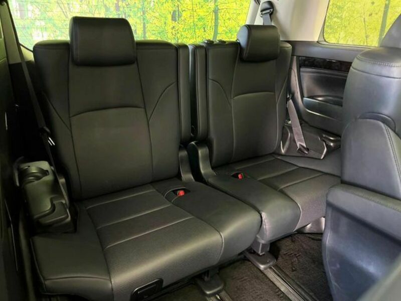 ALPHARD-10