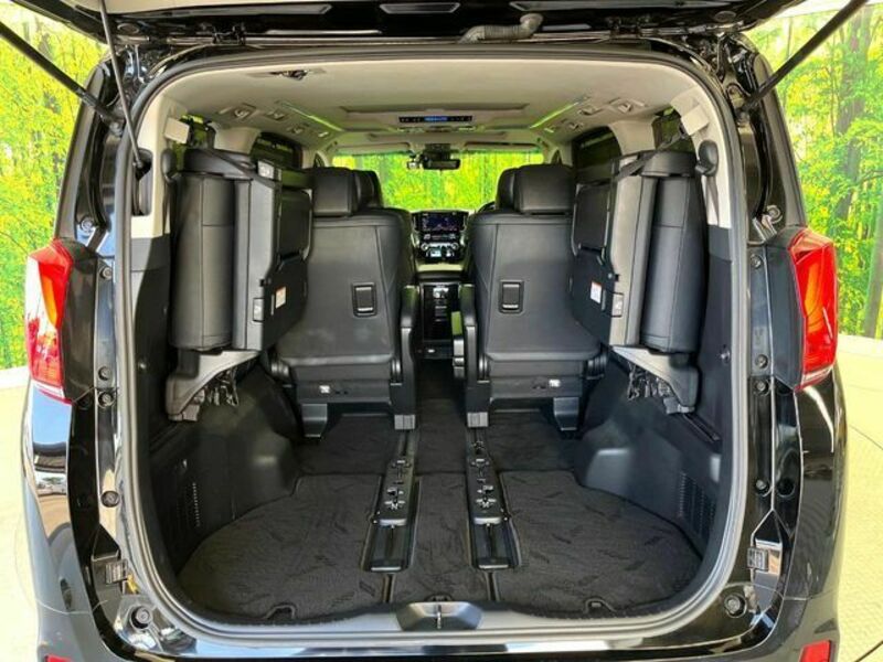 ALPHARD-11