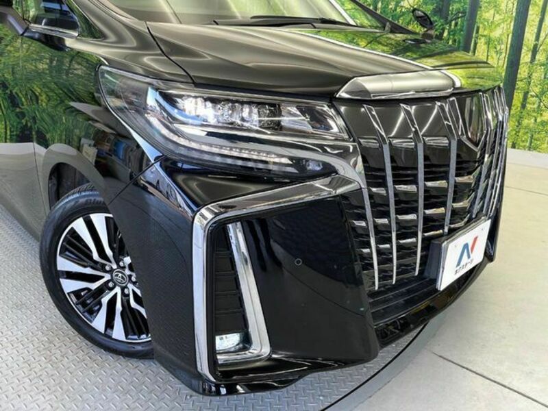 ALPHARD-13