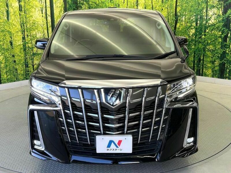 ALPHARD-15