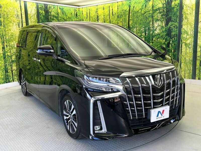 ALPHARD-17