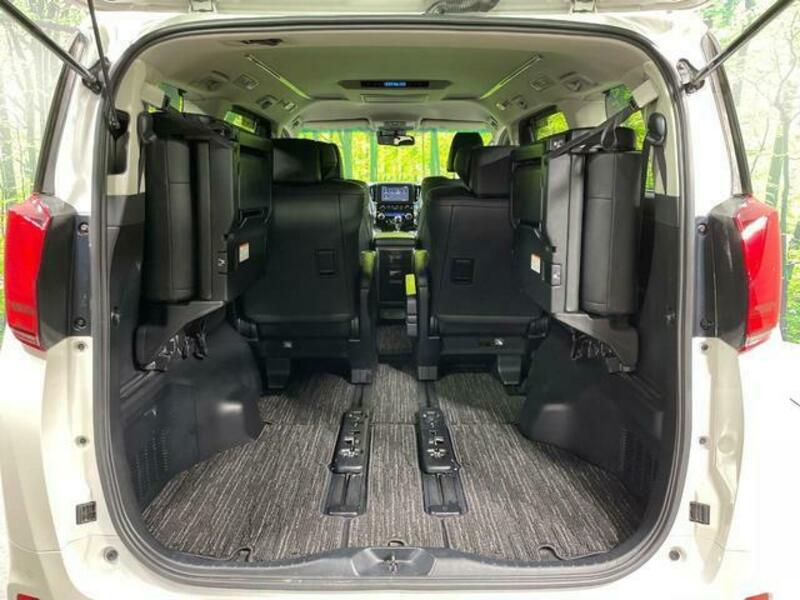ALPHARD-10