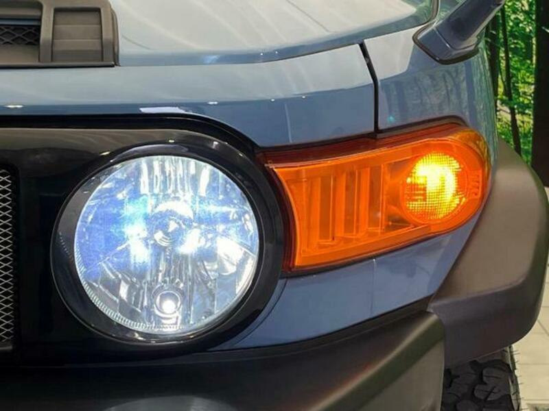 FJ CRUISER