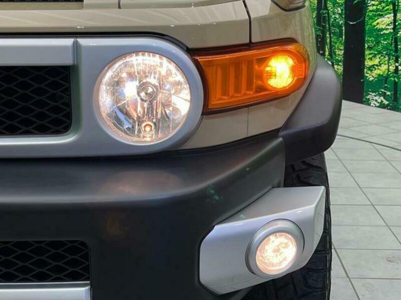 FJ CRUISER