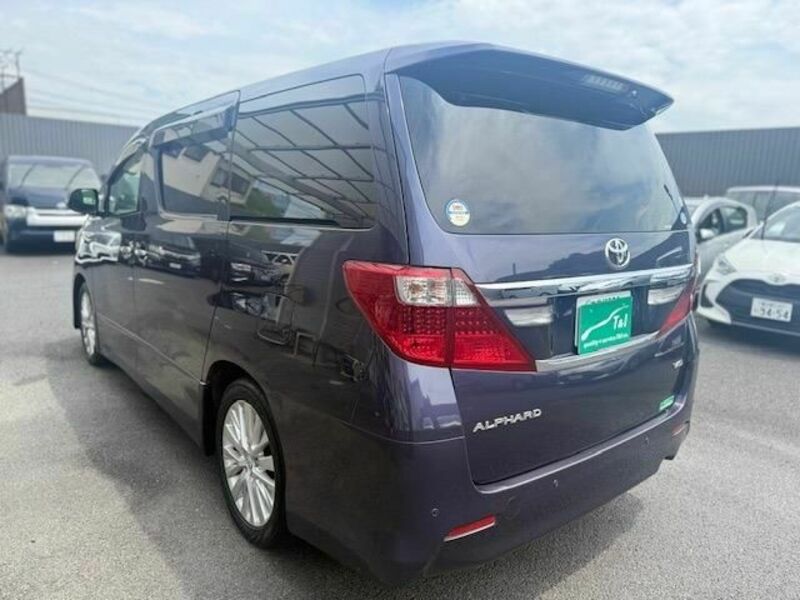 ALPHARD-16